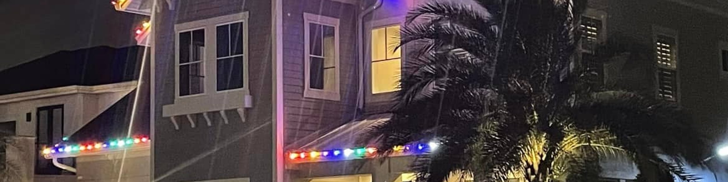 Professional Christmas light installation on home roofline and trees