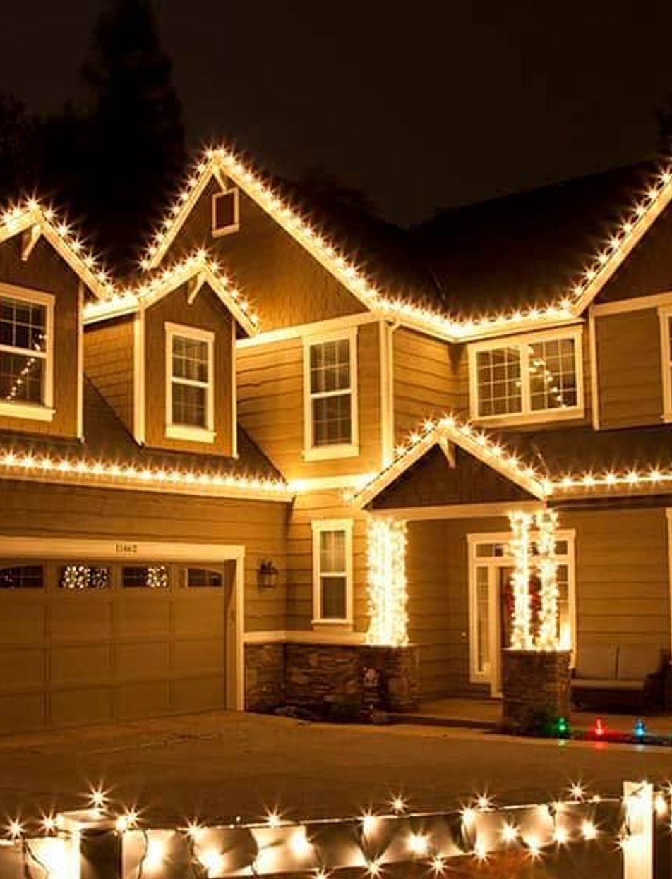 Professional landscape lighting illuminating trees and pathways at night